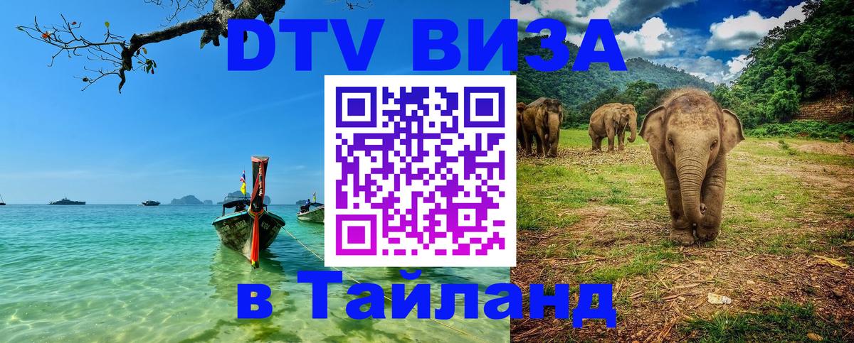 Сколько стоит DTV виза — актуальные цены, оформление даже без документов - Димитровград  05.10.2025 